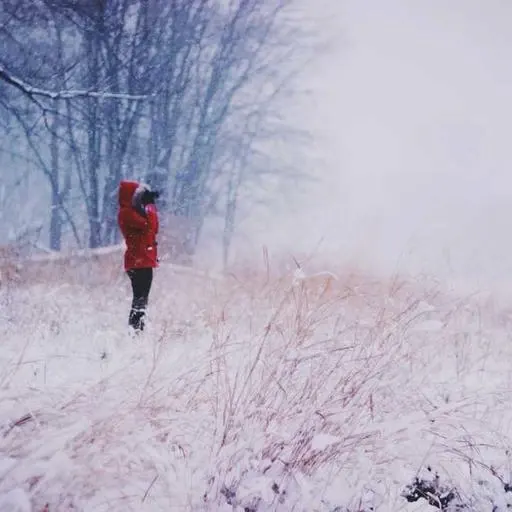 혈액순환 개선을 위한 영양제 이미지