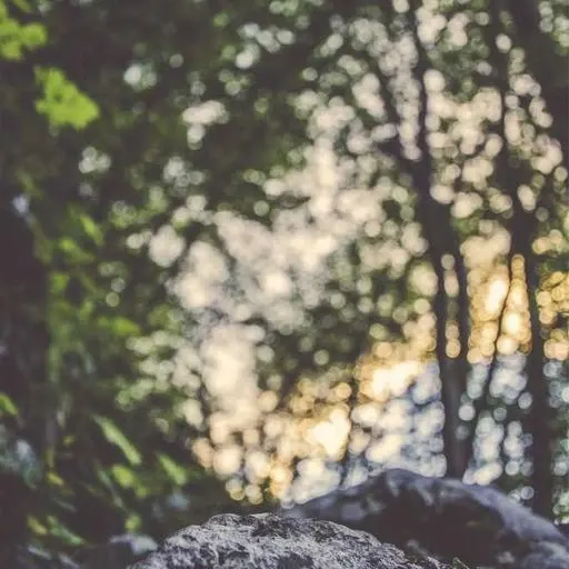 7. 지원금 활용 시 주의사항 이미지