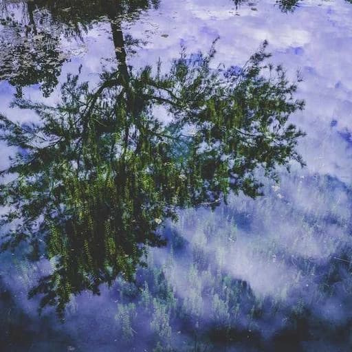 Q&A: 자주 묻는 질문 이미지