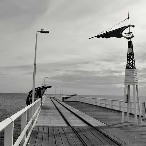 Q&A: 자주 묻는 질문 이미지