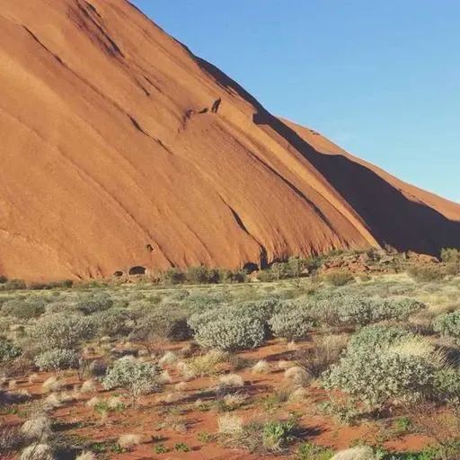 사회적 네트워크 구축하기 이미지