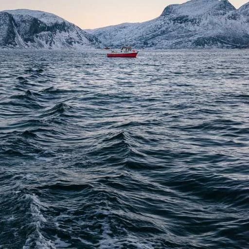 자주 묻는 질문 이미지