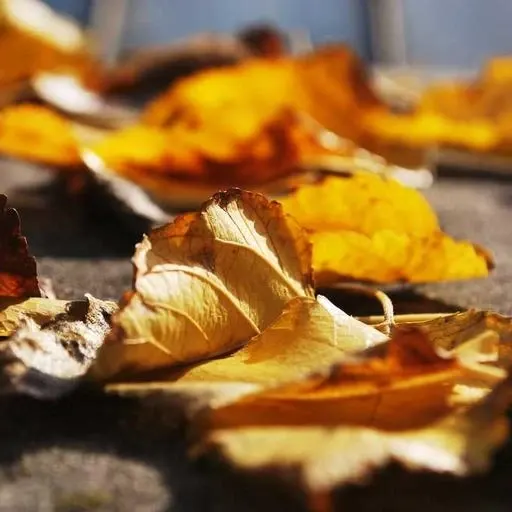 핵심 요약 이미지