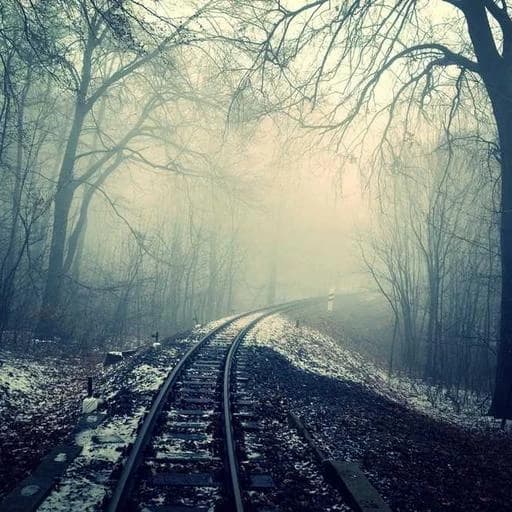 40대의 건강한 몸 만들기 이미지