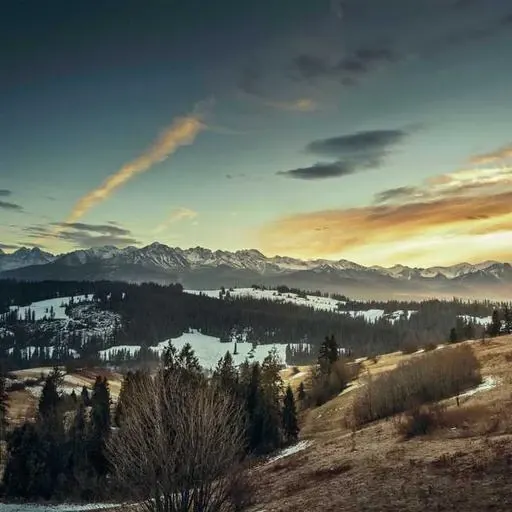 후순위 담보대출의 조건 비교 이미지