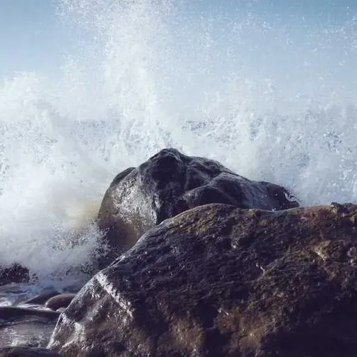 위 내시경 검사의 대체 검사 이미지