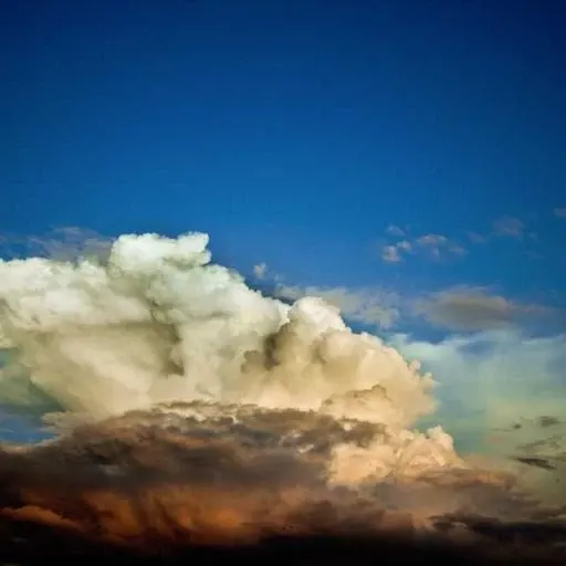 폐암 검진의 비용 이미지