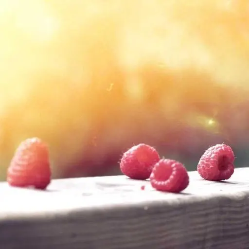 편도염 치료에 대한 의료적 접근 이미지