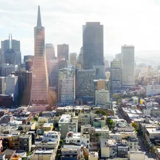 신청 시 주의사항 이미지