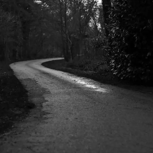 혜택의 다른 종류 이미지