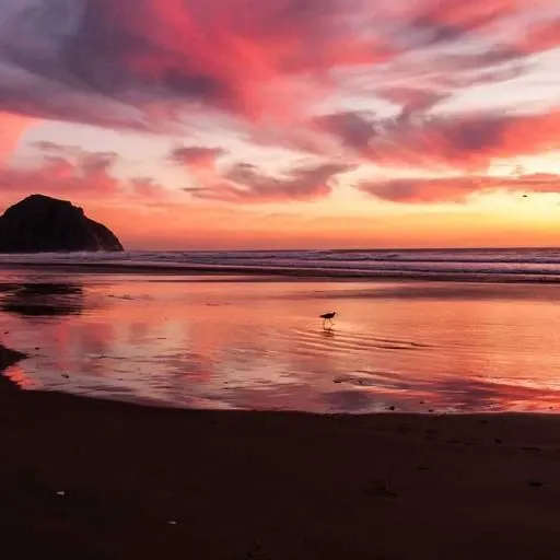 전세자금대출 시 주의할 점 이미지