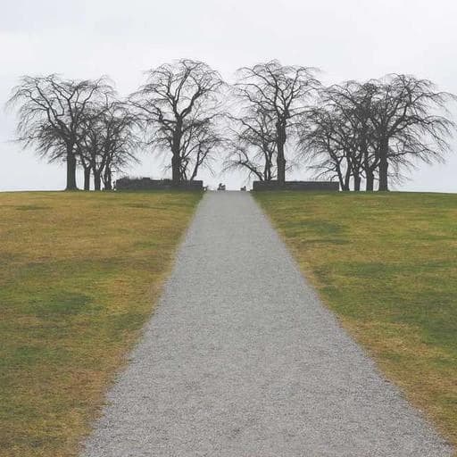 Q&A: 자주 묻는 질문 이미지