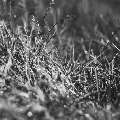 핵심 요약 이미지