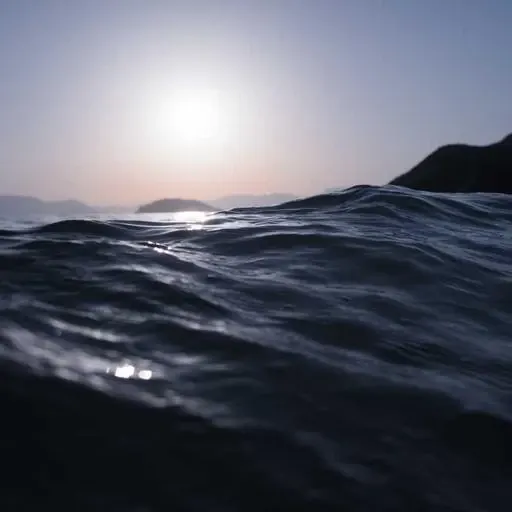 핵심 요약 이미지