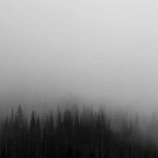 5. 전문가 상담과 시술 이미지