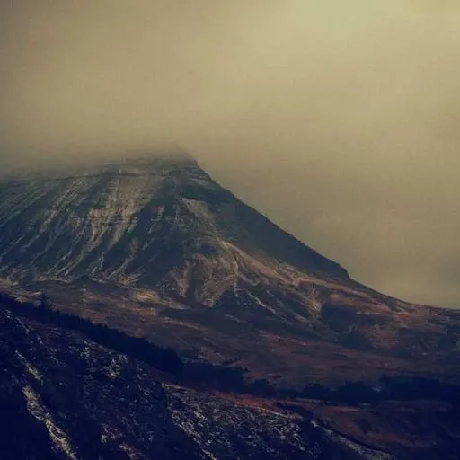 정기 건강 검진의 필요성 이미지