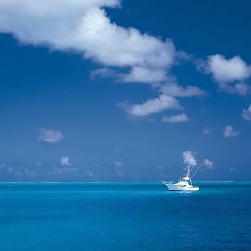 신청 시 주의사항 이미지