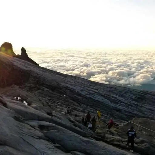 신청 방법 이미지