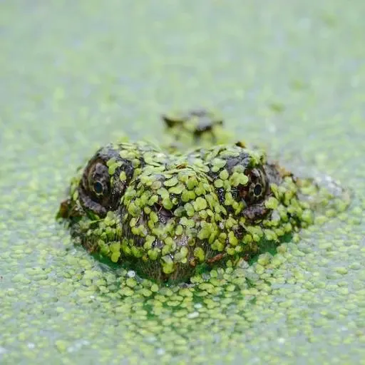 2유형 지원 대상 이미지