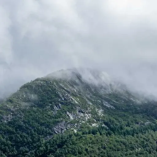 신청 방법 이미지