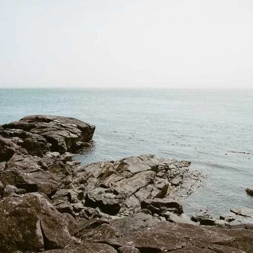 Q&A: 자주 묻는 질문 이미지