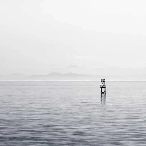 핵심 요약 이미지