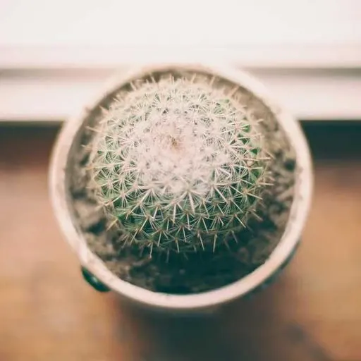 자주 묻는 질문 (Q&A) 이미지