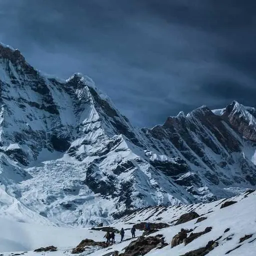 핵심 요약 이미지