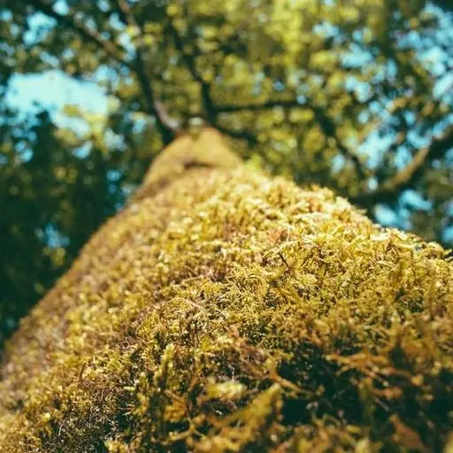 비상금대출 연장을 위한 신용 관리 팁 이미지