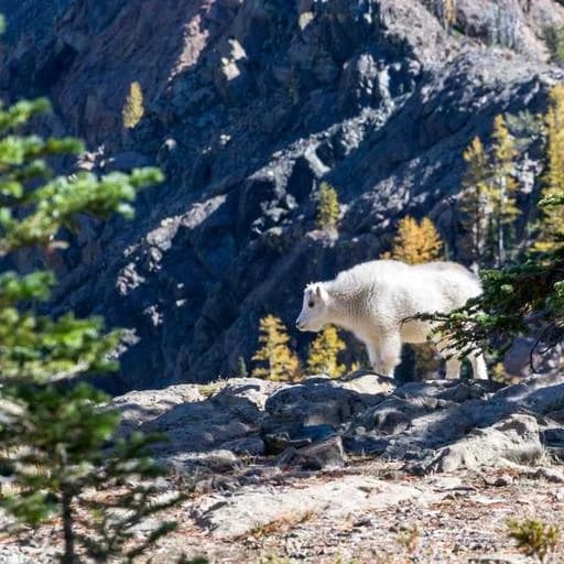 연장 시 주의사항 이미지