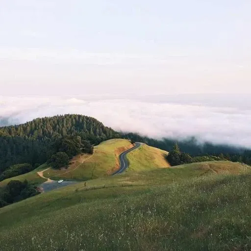 핵심 요약 이미지