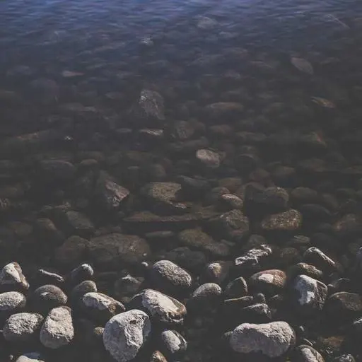 코엔자임 Q10과 에너지 이미지