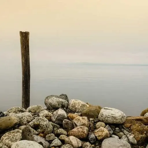 멜라토닌 보충제의 선택 이미지