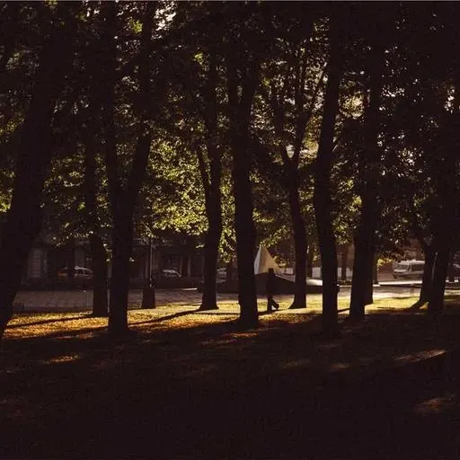 4. 주름을 줄이는 마사지 기술 이미지