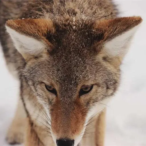 목주름 개선을 위한 시술 이미지