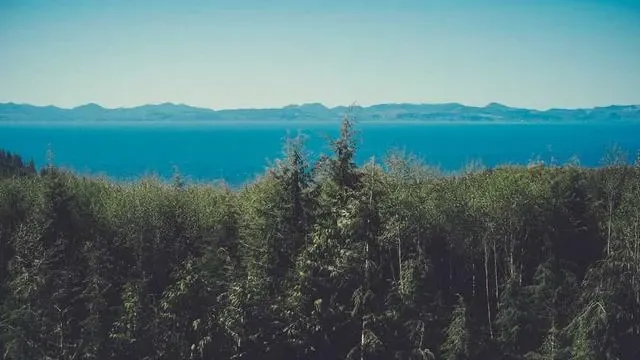 최저시급 인상이 미치는 경제적 영향과 사회적 파장 이미지