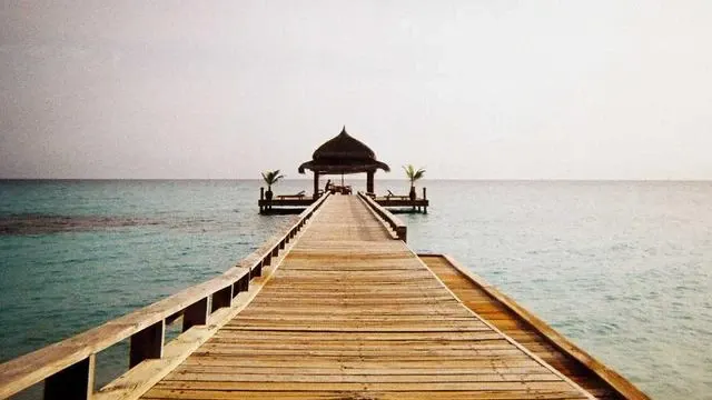 4. 혈관 건강에 좋은 음식 섭취 시 주의할 점 이미지