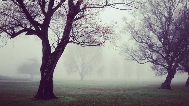 60대 당뇨 초기 운동과 생활습관 개선법 이미지
