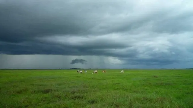 5. 갱년기 증상에 좋은 건강기능식품과 영양소 이미지
