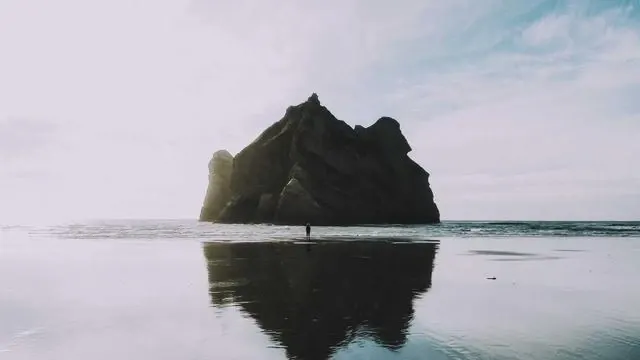 60대 다이어트 보조제와 약물 활용 시 주의사항 이미지