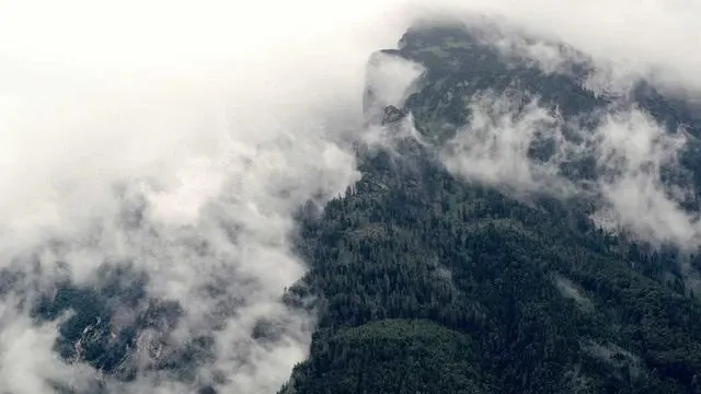 건강보험료 환급 신청 절차와 유의사항 이미지