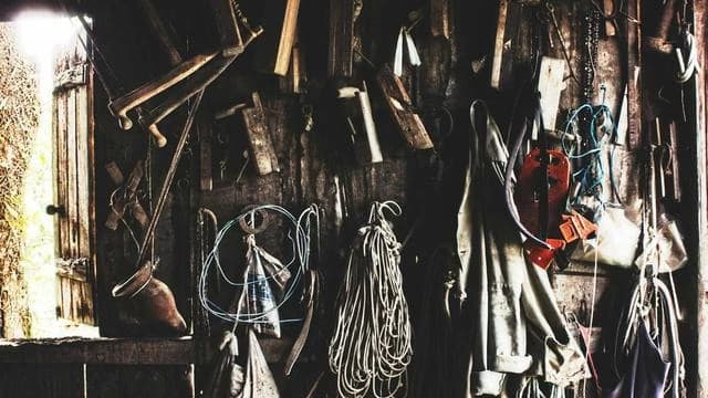 해인감비환 관련 최신 연구와 의료진 의견 이미지