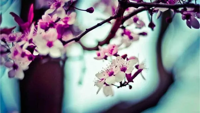 치통약 복용 후 부작용과 대처법 이미지