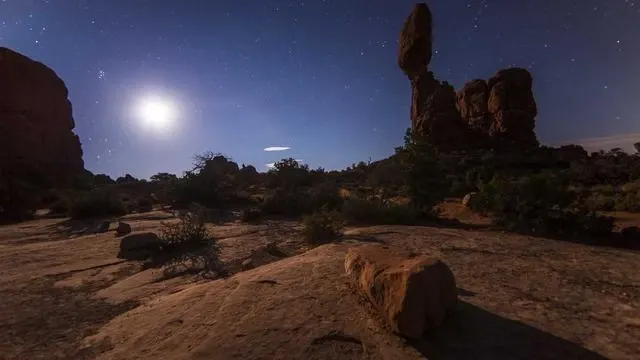 FFP 수혈과 다른 수혈 종류의 차이점 이미지