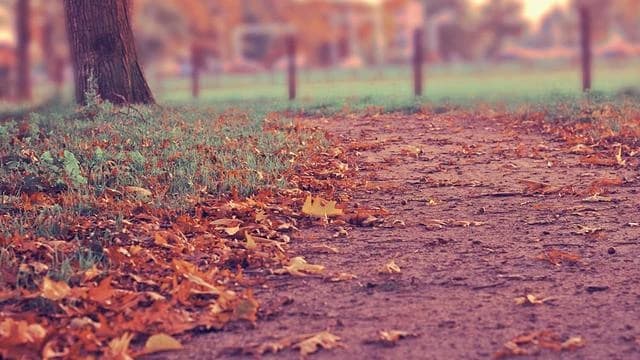 60대 코골이 치료법 종류와 효과 이미지