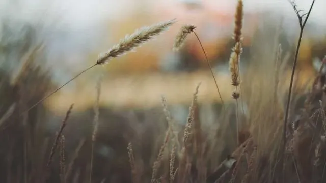 핵심 요약 이미지