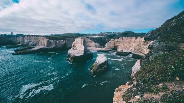 건자두 섭취 시 주의해야 할 부작용과 과다복용 위험 이미지