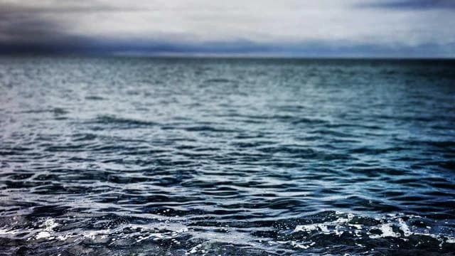 건자두를 활용한 건강한 섭취 방법과 레시피 이미지