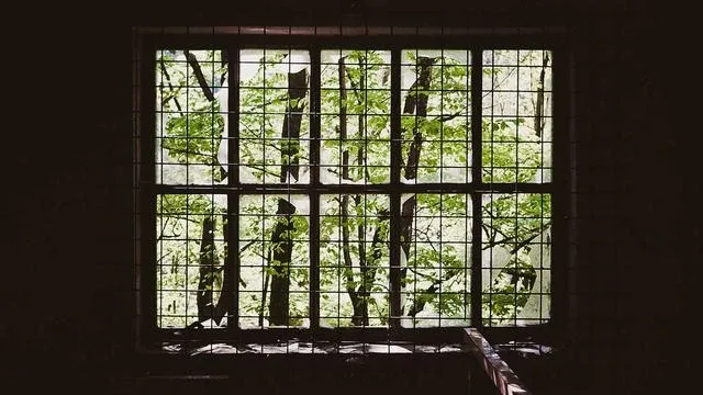 4. 정부지원통장 신청 방법과 절차 이미지