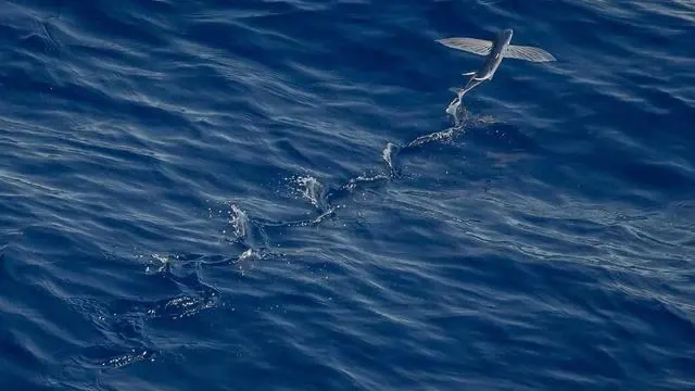 9. Q&A 자주 묻는 질문과 답변 이미지